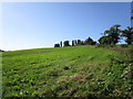 Grass field and Broadlands