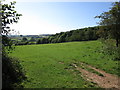 Grass field and woodland near Lower Llantrothy