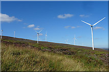 NJ3126 : Dorenell Wind Farm by Anne Burgess