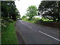 Starling Bridge