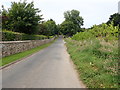 View North along Sawmill Road