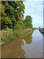 Shropshire Union Canal near Nantwich, Cheshire