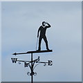 Seve weather vane