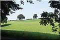 Fields beside Dark Ark Lane, Manley