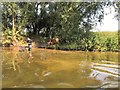 Fishing in the River Avon