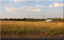 TL5552 : Field by Cambridge Road by David Howard