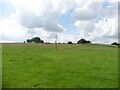 Fields, west of Southfield Farm