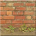 Bench mark, River Greet bridge, Fiskerton