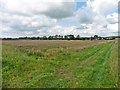 Field, north of Dursdon Drove