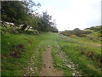 SJ1169 : Track on Moel y Parc by Eirian Evans