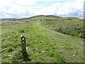 SJ1268 : Offa's Dyke Path waymark by Eirian Evans