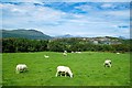 View towards Yr Wyddfa from the Ffestiniog Railway