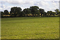 Field adjacent to Appletree Lane