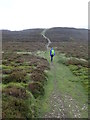 SJ1267 : Offa's Dyke Path  by Eirian Evans