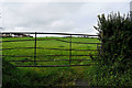 Gate along Ballycairn Road, Ballycairn