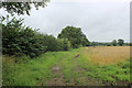 Footpath heading West from Lowfield Lane