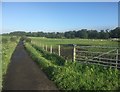 Path, Langdyke