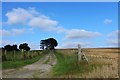 Road to Hillbrae Croft