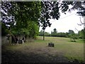 Burghurst Meadow