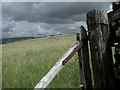 Broken Field Gate