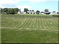 Field below Charity Hall Farm