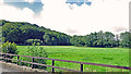 Meadow in the Syfni valley, Clarbeston