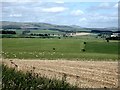 NT9802 : Northumbrian landscape by Oliver Dixon