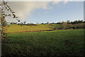 ST6657 : Farmland near Withy Mills by Derek Harper