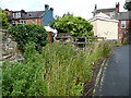 Chapel Beck, Guisborough