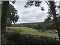 Farmland and trees