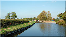 SJ9211 : Canal near Rodbaston in Staffordshire by Roger  D Kidd