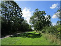 Green Lane near Sycamore Lodge