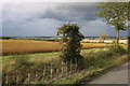 Countryside in Steventon End