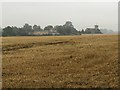 View across the fields to Lower Gravenhurst