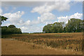 North Downs dip slope plateau south-west of Ringlestone