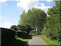 TF0725 : Kirkby Underwood Road and poplar plantation by Jonathan Thacker