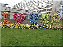 TQ3079 : NHS floral tribute, St Thomas Hospital, Westminster Bridge Road by Robin Sones