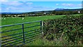 Roofs of farm buildings at Ballymichael