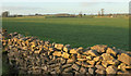 Farmland near Chewton Fields Farm