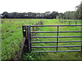 Llwybr ger Pant-y-parchell / Path near Pant-y-parchell