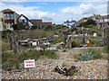 Gardens on the beach at Pevensey Bay