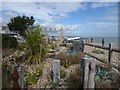 Garden on the beach at Pevensey Bay