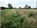 Heckington Eau, west of Heckington Road