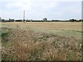 Farmland on the north bank of Heckington Eau