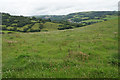 Hillside near West Challacombe