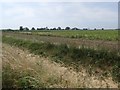 Arable farmland, north of Littleworth Drove