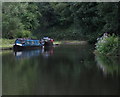 Narrowboats moored along the Staffordshire and Worcestershire Canal