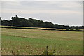 Farmland by Chart Lane South