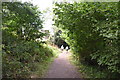 Footpath along Bents Brook