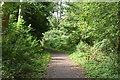 Footpath by Bents Brook